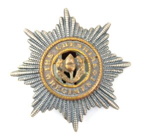 British, Original The Cheshire Regiment Cap Badge, Bi-Metal, Brass Slide