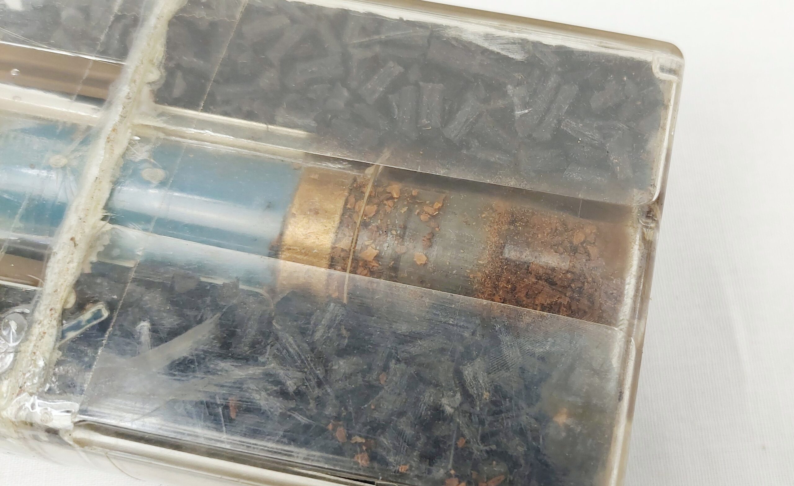 Cased Inert 27mm Cannon Shell - Image 3