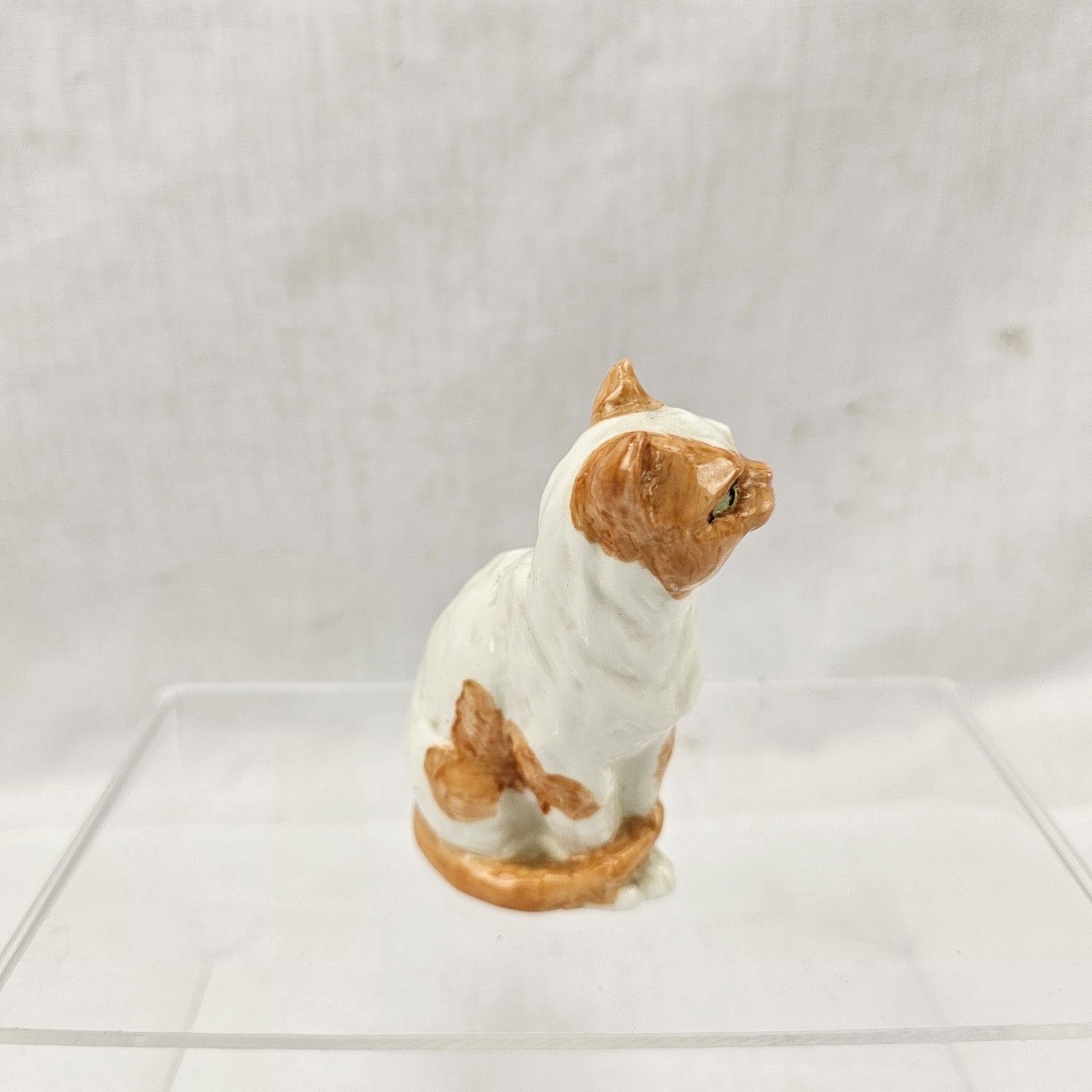 Royal Worcester Doughty Cat Pattern 3616 - Image 5