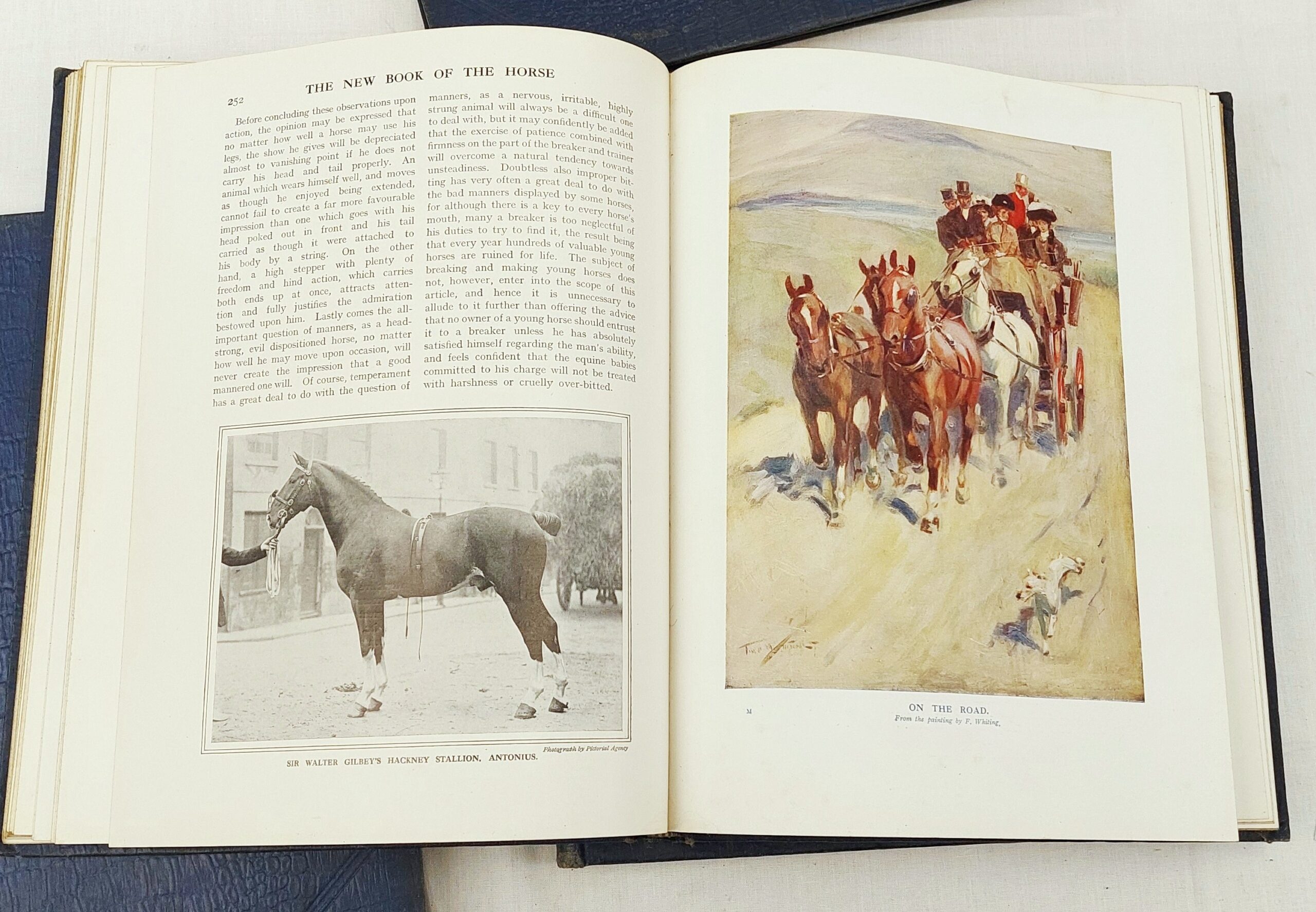 1912 4 Volume Set Cassels New Book Of The Horse By Charles Richardson - Image 2