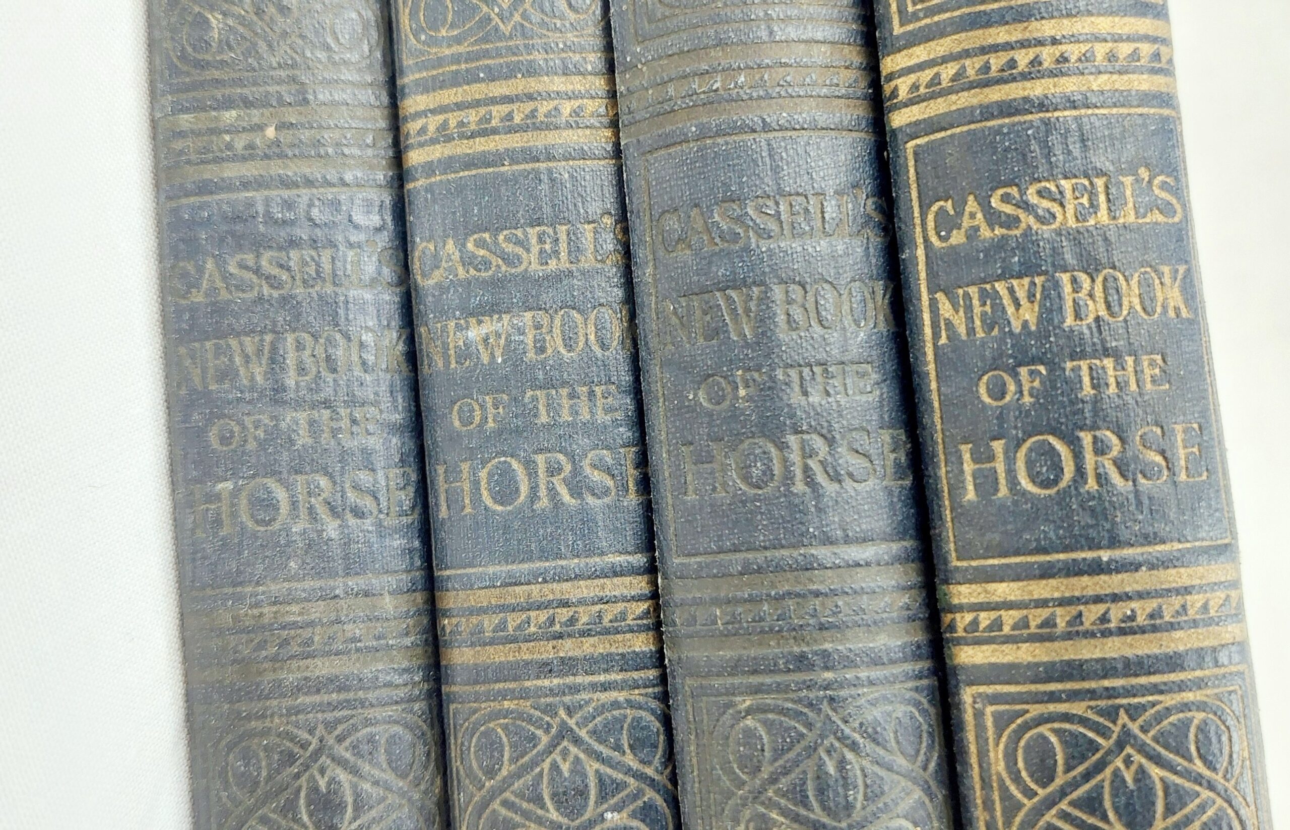 1912 4 Volume Set Cassels New Book Of The Horse By Charles Richardson - Image 11