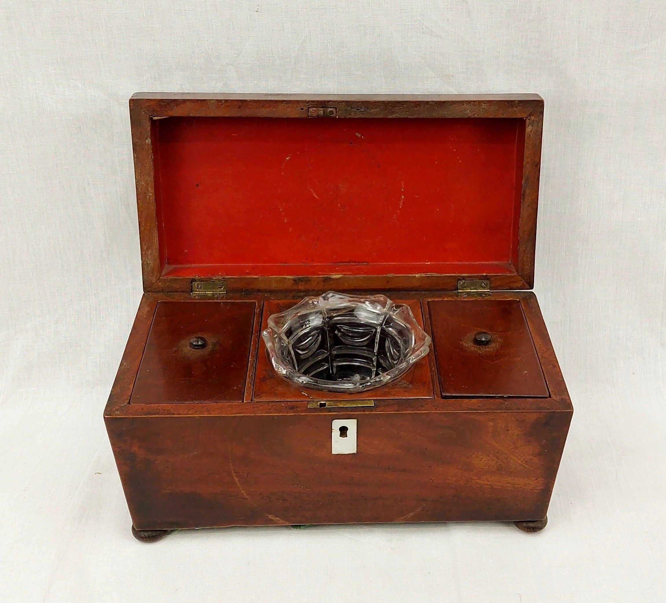 Regency Walnut Tea Caddy Casket