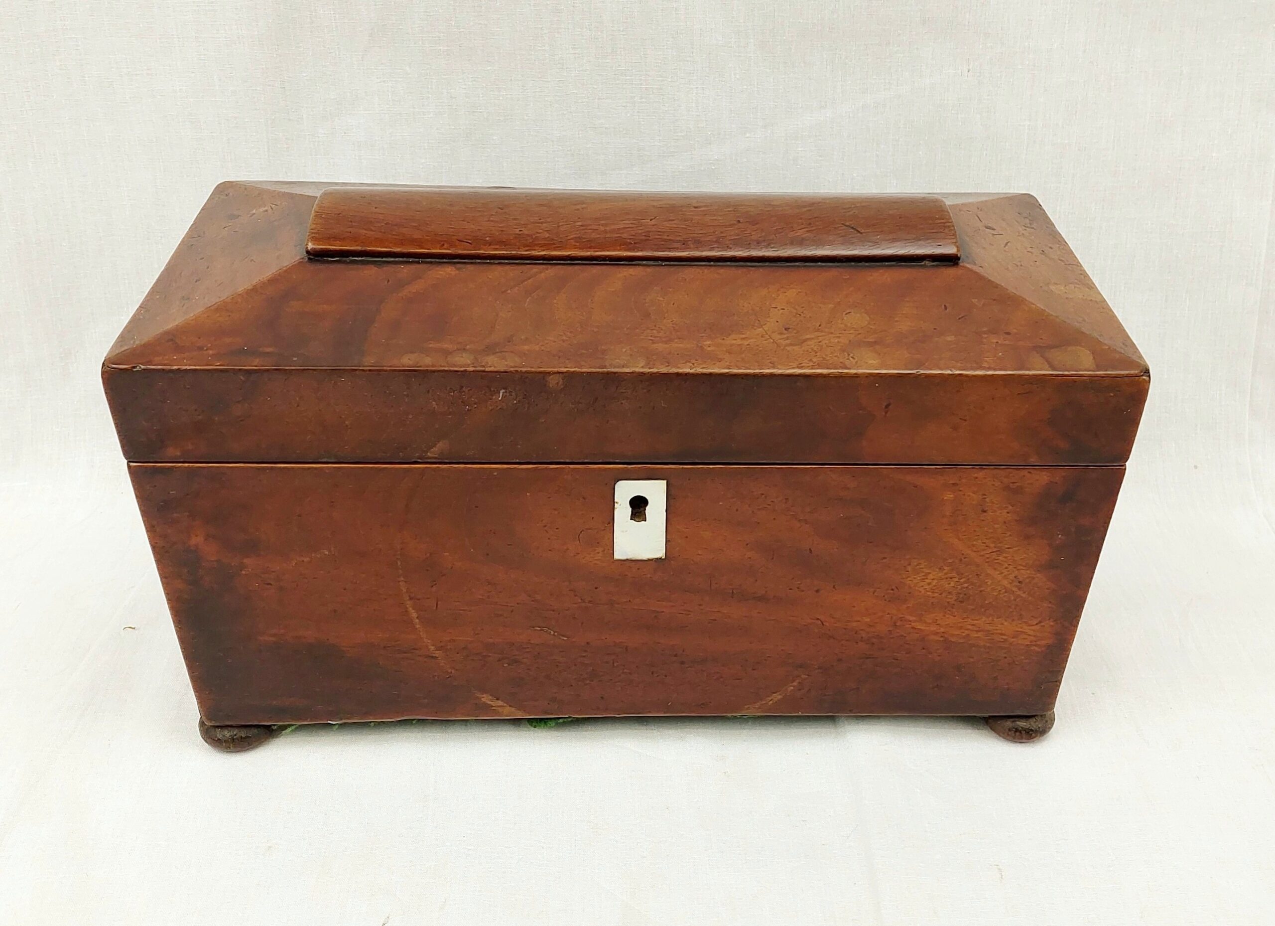 Regency Walnut Tea Caddy Casket - Image 2