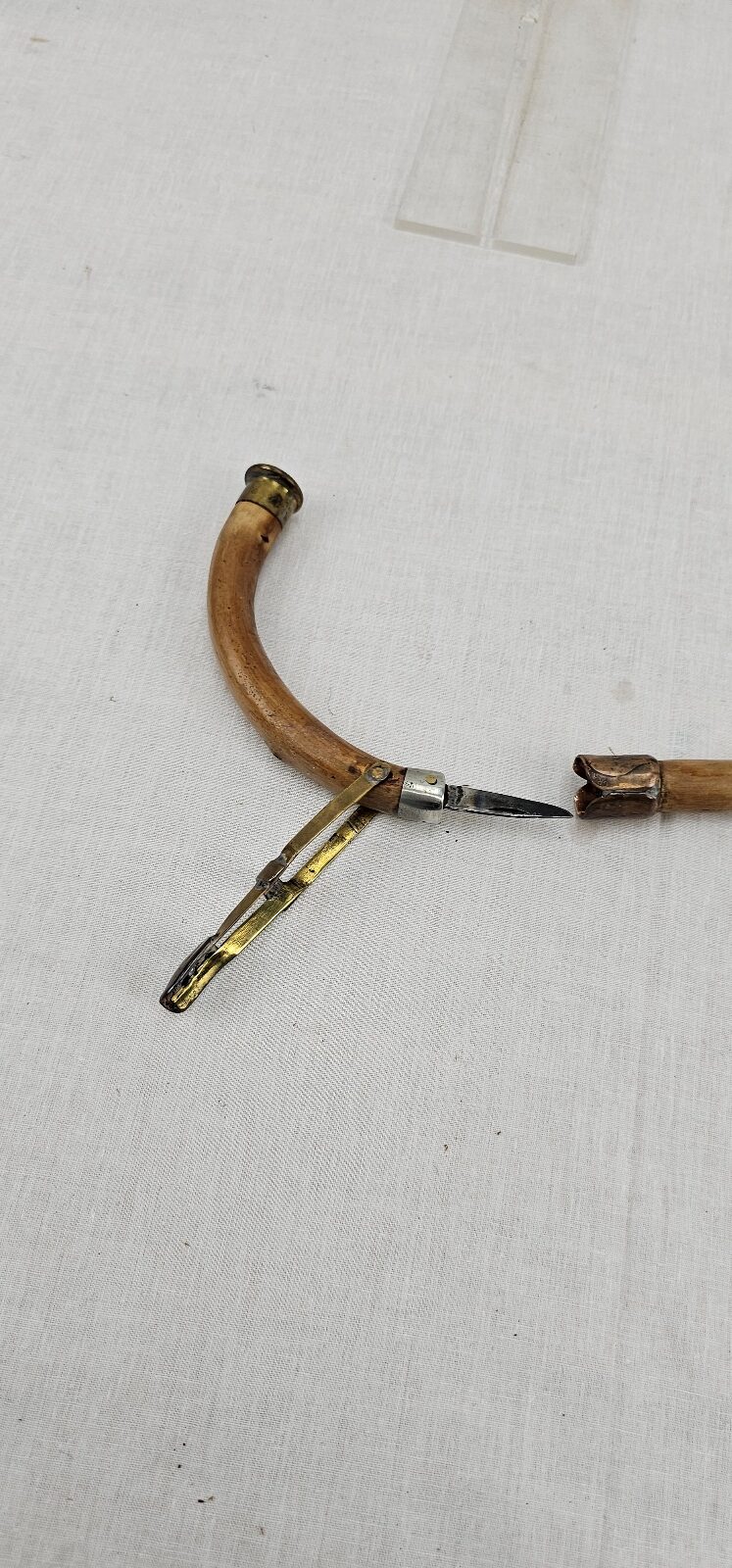Edwardian Walking Stick Fitted With Fruit Knife - Image 4
