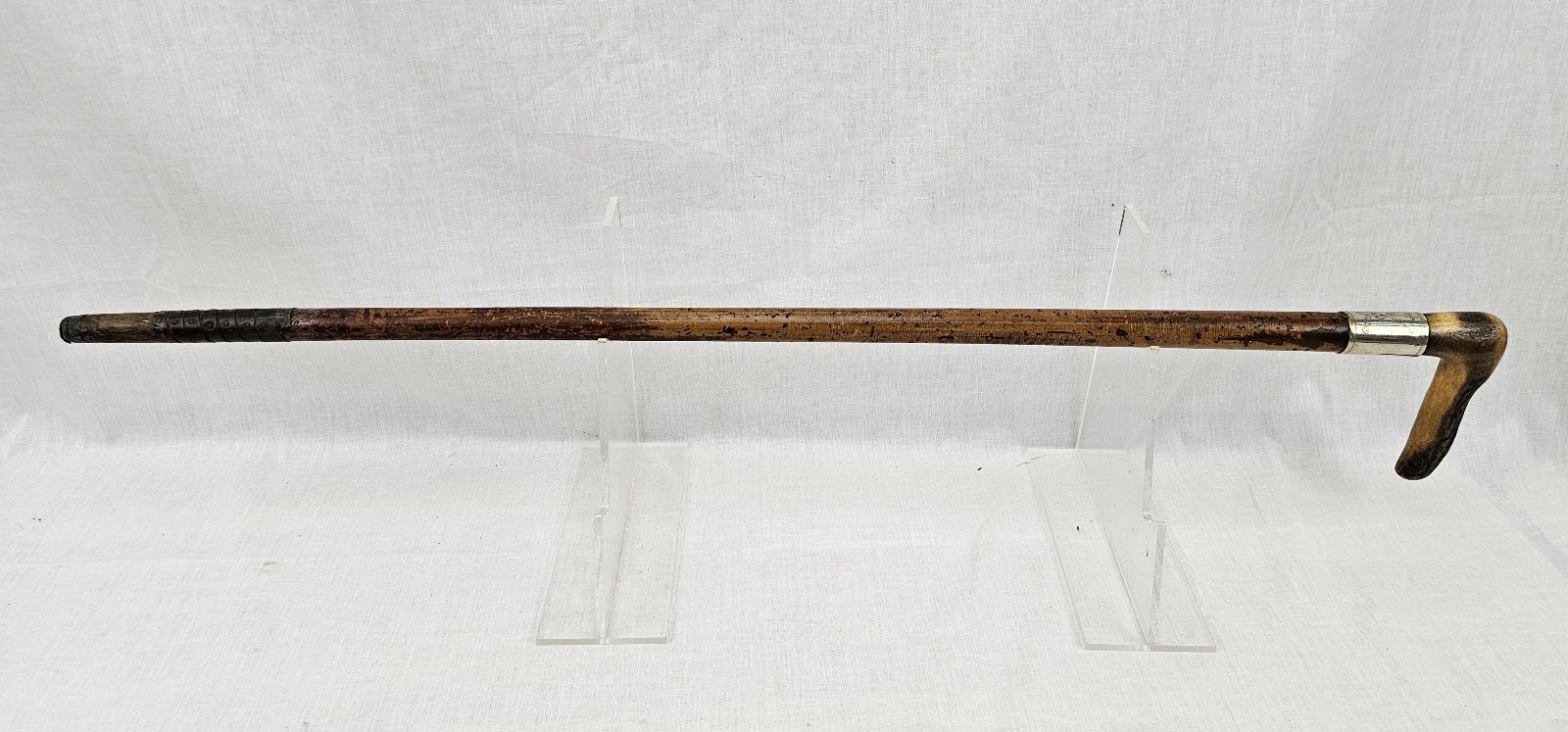 Edwardian Silver Ferrel Horn Handle Wooden Walking Stick