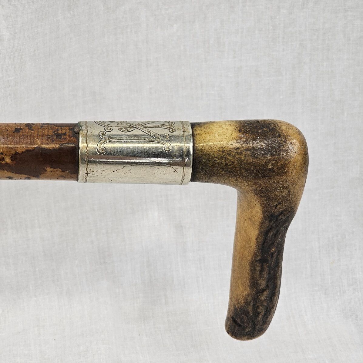 Edwardian Silver Ferrel Horn Handle Wooden Walking Stick - Image 2