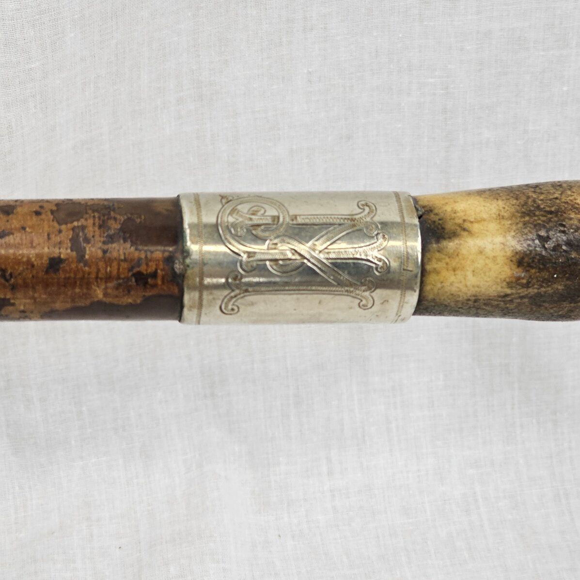 Edwardian Silver Ferrel Horn Handle Wooden Walking Stick - Image 3