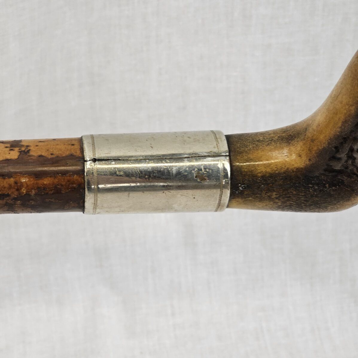 Edwardian Silver Ferrel Horn Handle Wooden Walking Stick - Image 4