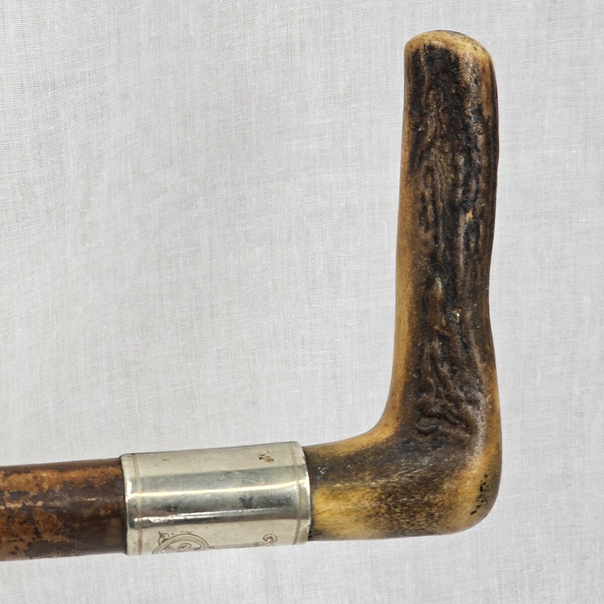 Edwardian Silver Ferrel Horn Handle Wooden Walking Stick - Image 5