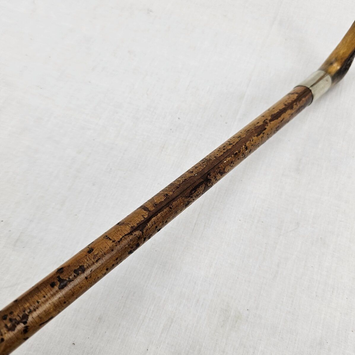 Edwardian Silver Ferrel Horn Handle Wooden Walking Stick - Image 8