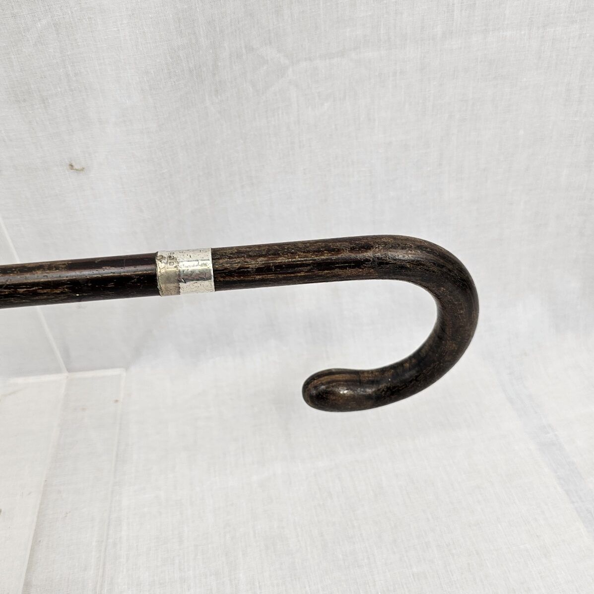Edwardian Silver Ferrel Walking Cane #2 - Image 2