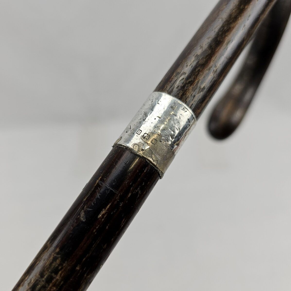 Edwardian Silver Ferrel Walking Cane #2 - Image 4