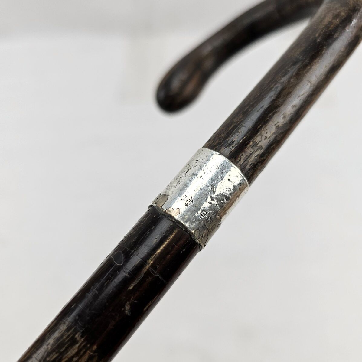 Edwardian Silver Ferrel Walking Cane #2 - Image 5