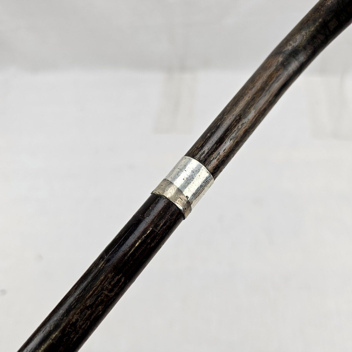 Edwardian Silver Ferrel Walking Cane #2 - Image 6