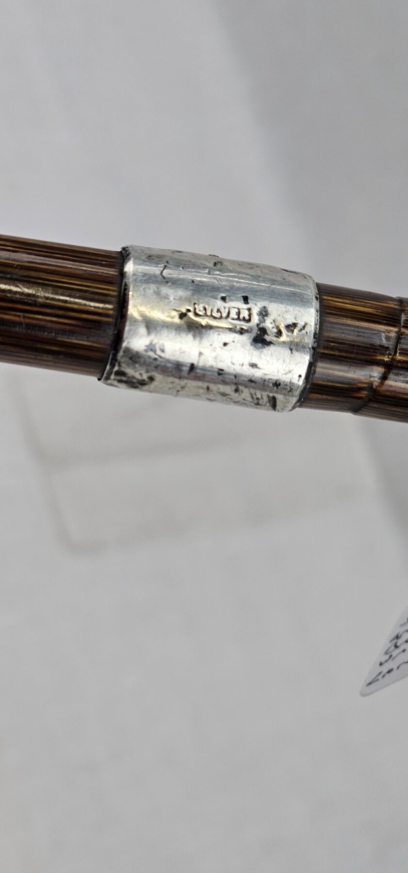 Edwardian Silver Ferrel and Tip Bamboo Walking Stick / Cane - Image 3