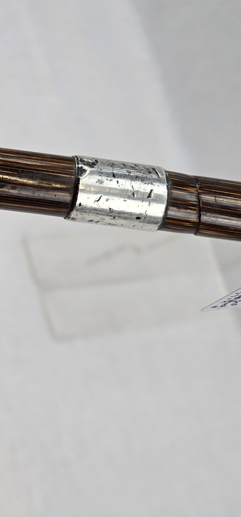 Edwardian Silver Ferrel and Tip Bamboo Walking Stick / Cane - Image 4