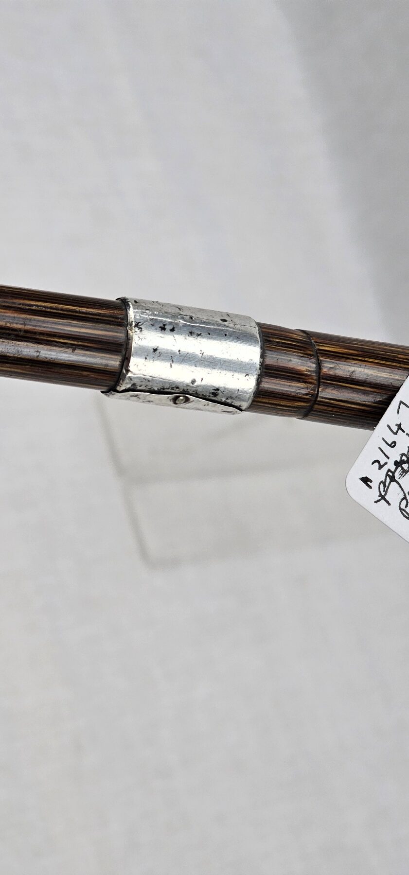 Edwardian Silver Ferrel and Tip Bamboo Walking Stick / Cane - Image 5
