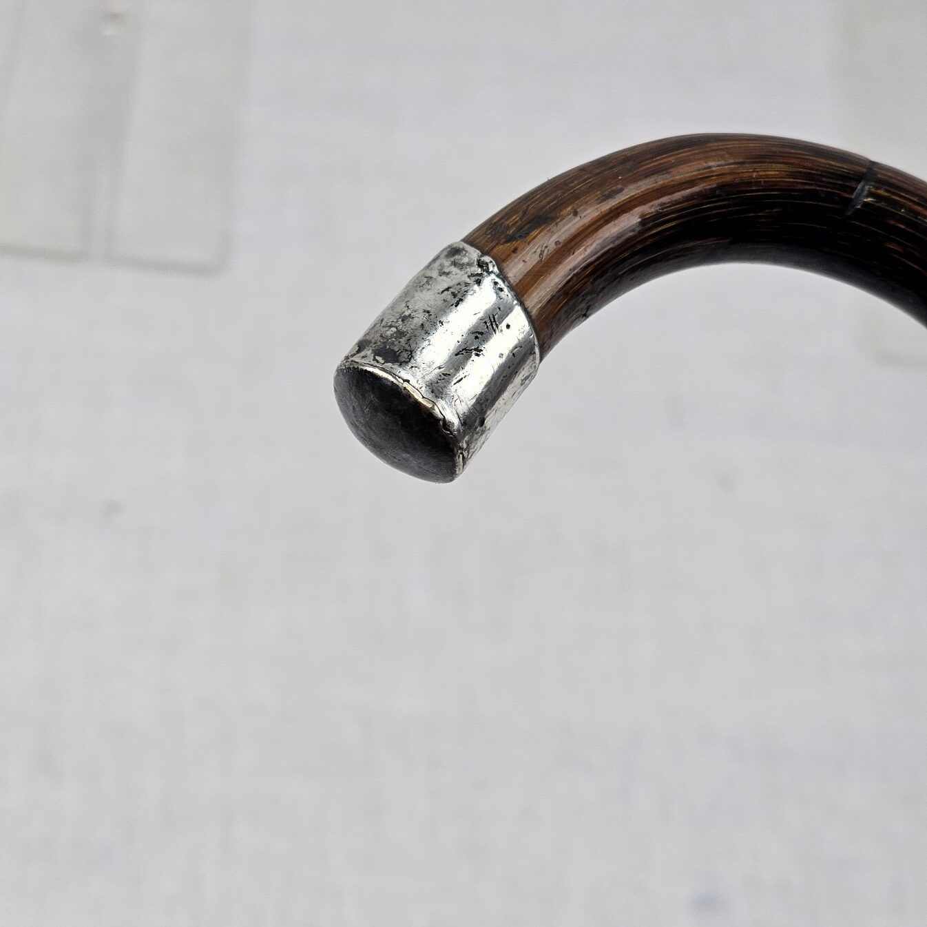 Edwardian Silver Ferrel and Tip Bamboo Walking Stick / Cane - Image 7