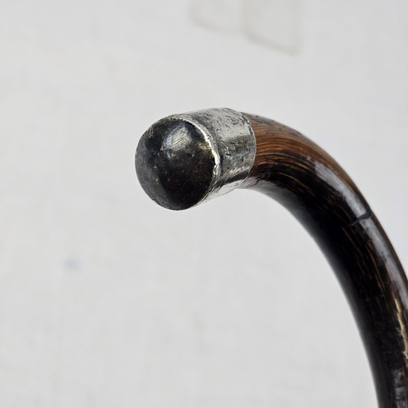 Edwardian Silver Ferrel and Tip Bamboo Walking Stick / Cane - Image 8