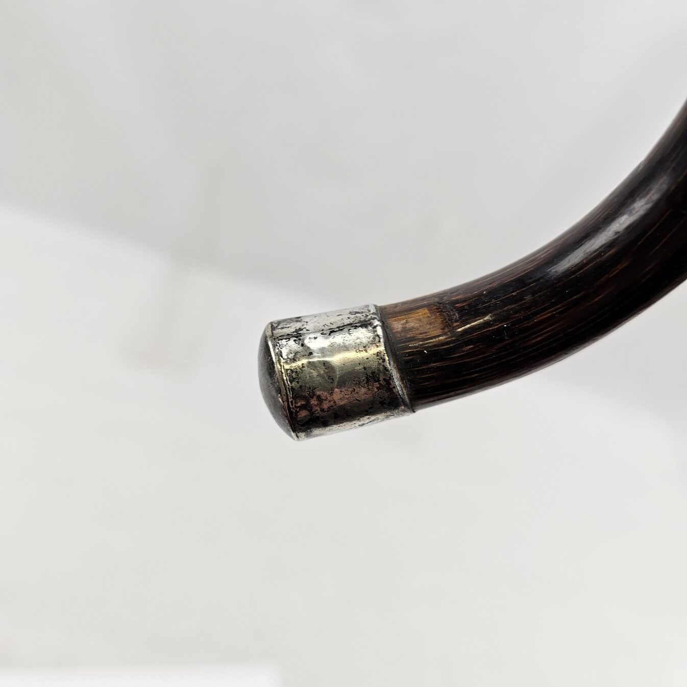 Edwardian Silver Ferrel and Tip Bamboo Walking Stick / Cane - Image 9