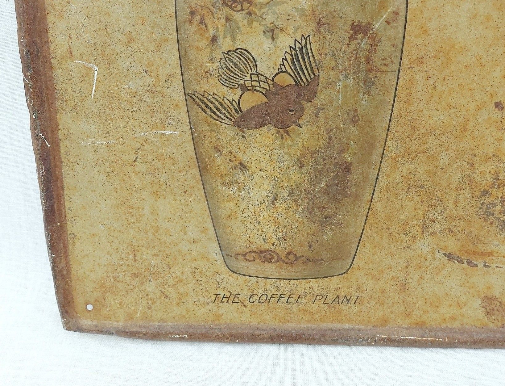 Victorian Laws Edinburgh Coffee Embossed Advertising Sign - Image 3