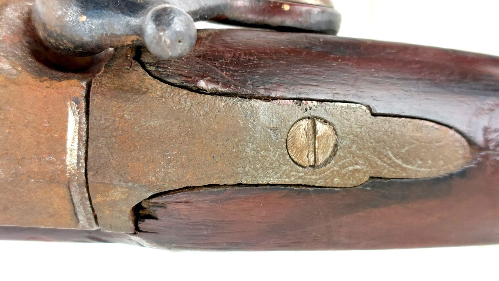 Antique Percussion Musket, Obsolete Calibre - Image 22