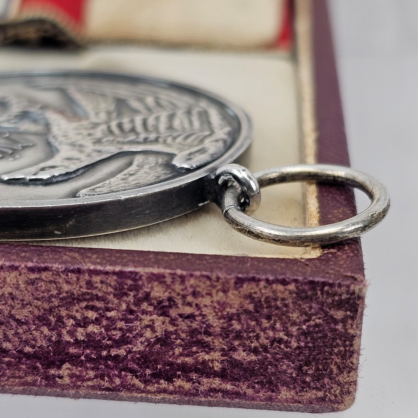 WW2 Era Nazi Germany 8–9 November 1923 Blood Order (Blutorden) Munchen Medal - First Series (1934) - Image 11