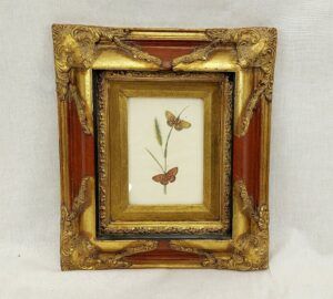 Framed Circa 1790 Hand Coloured Butterfly Engraving #2