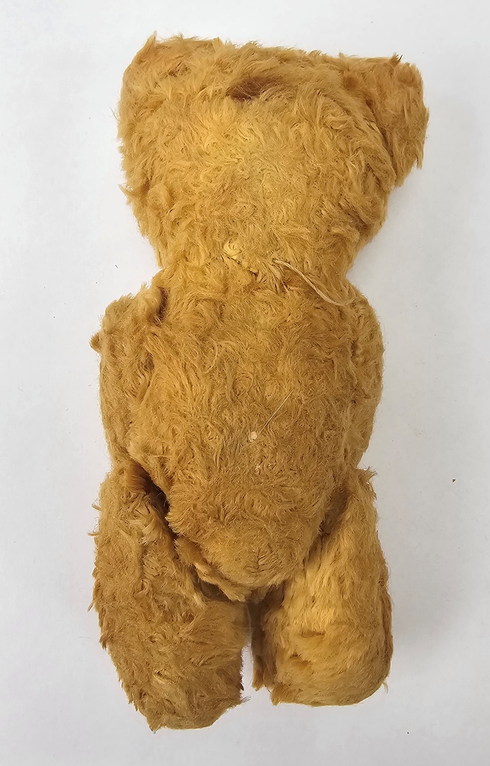 Early To Mid 20th Century Small Teddy Bear With Glass Eyes - Image 2