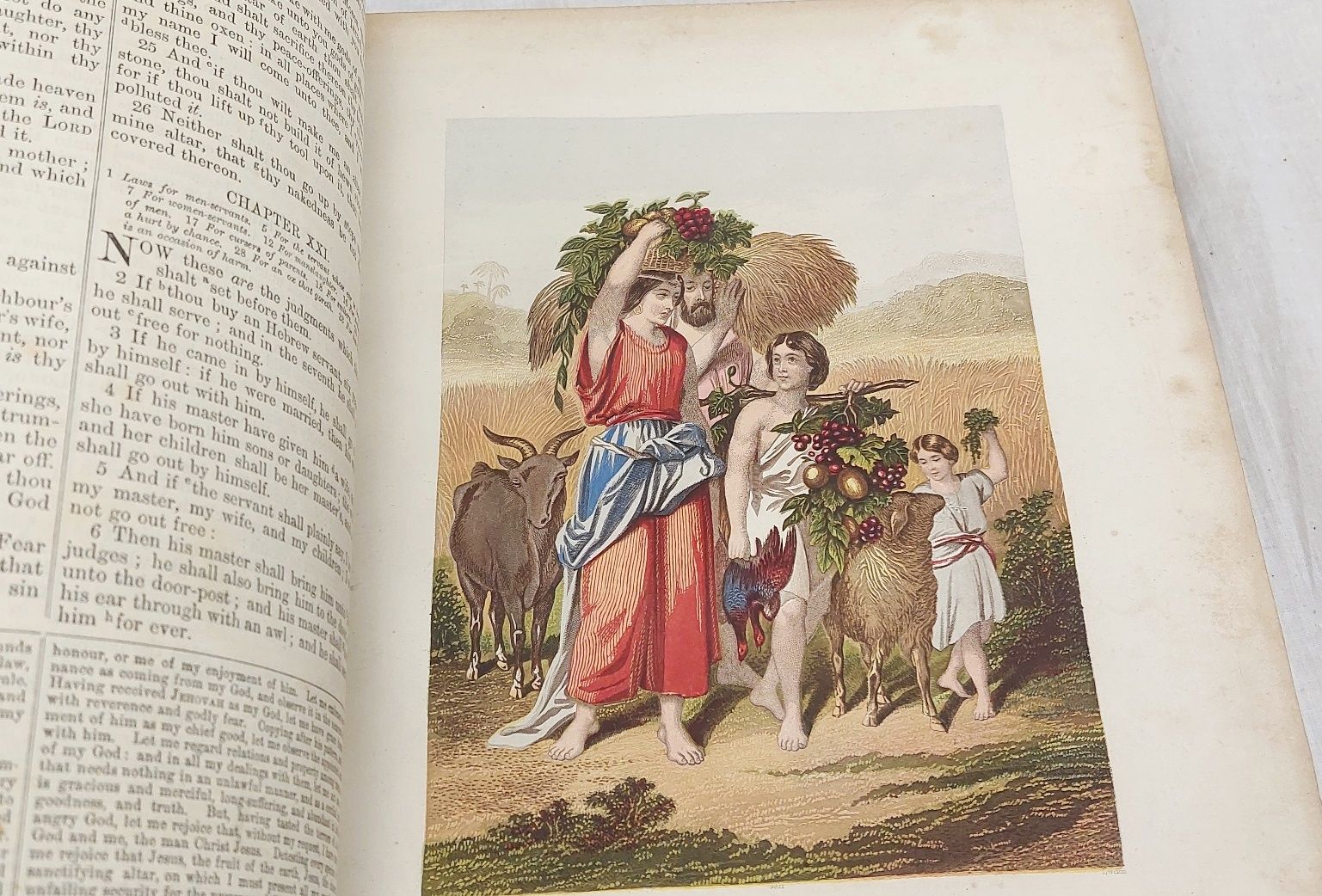 Victorian Reverend John Brown Bible - Image 8