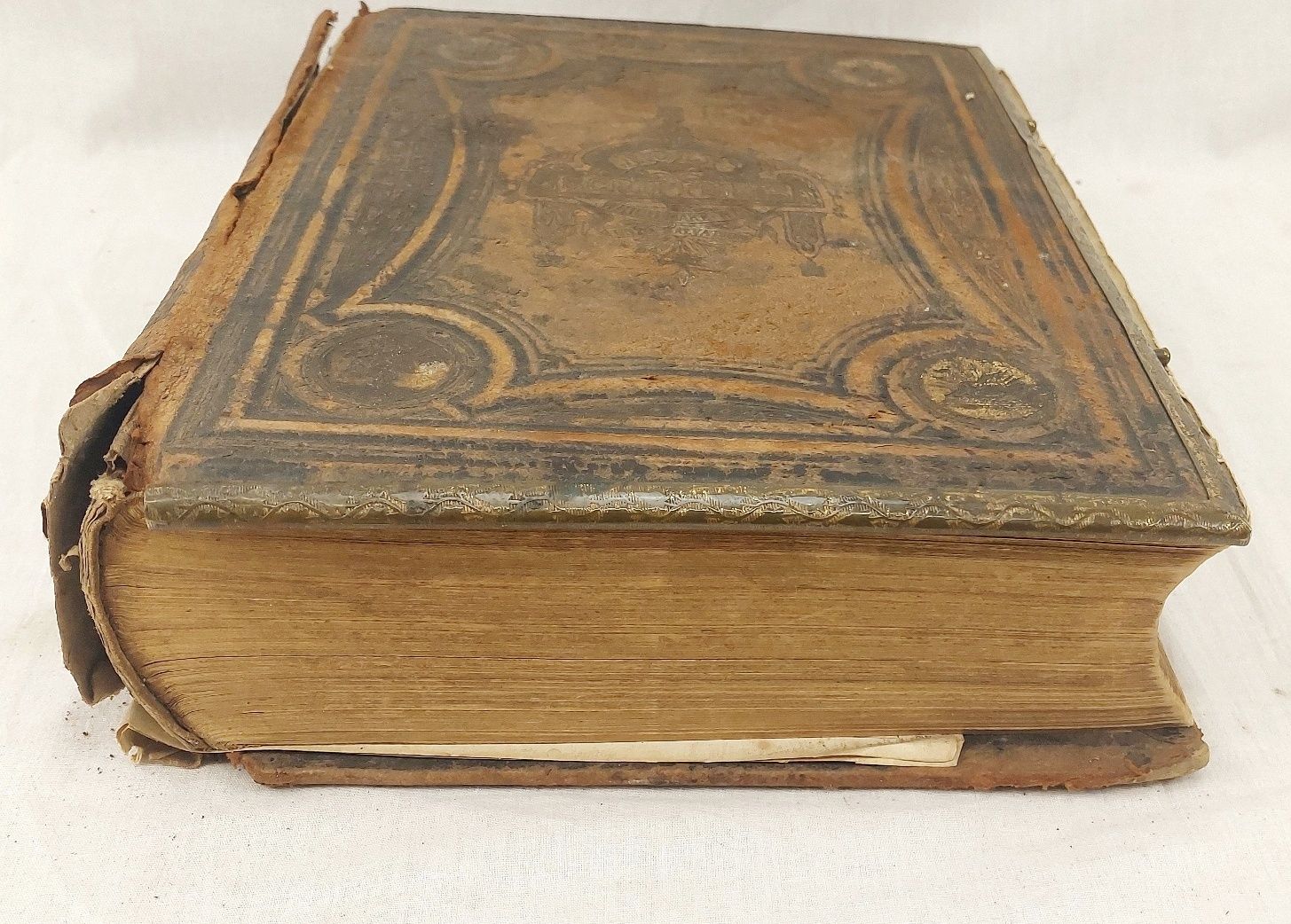 Victorian Reverend John Brown Bible - Image 3