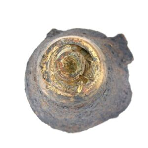 German, WW1, EKZ 17 Fuze for 77mm Gas Shell, Battlefield Recovered, Detonation Damage, Inert