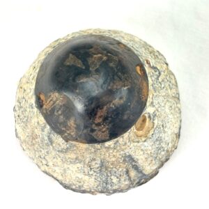 German, WWII, AZ23 Nose Fuze, Relic Condition, Inert