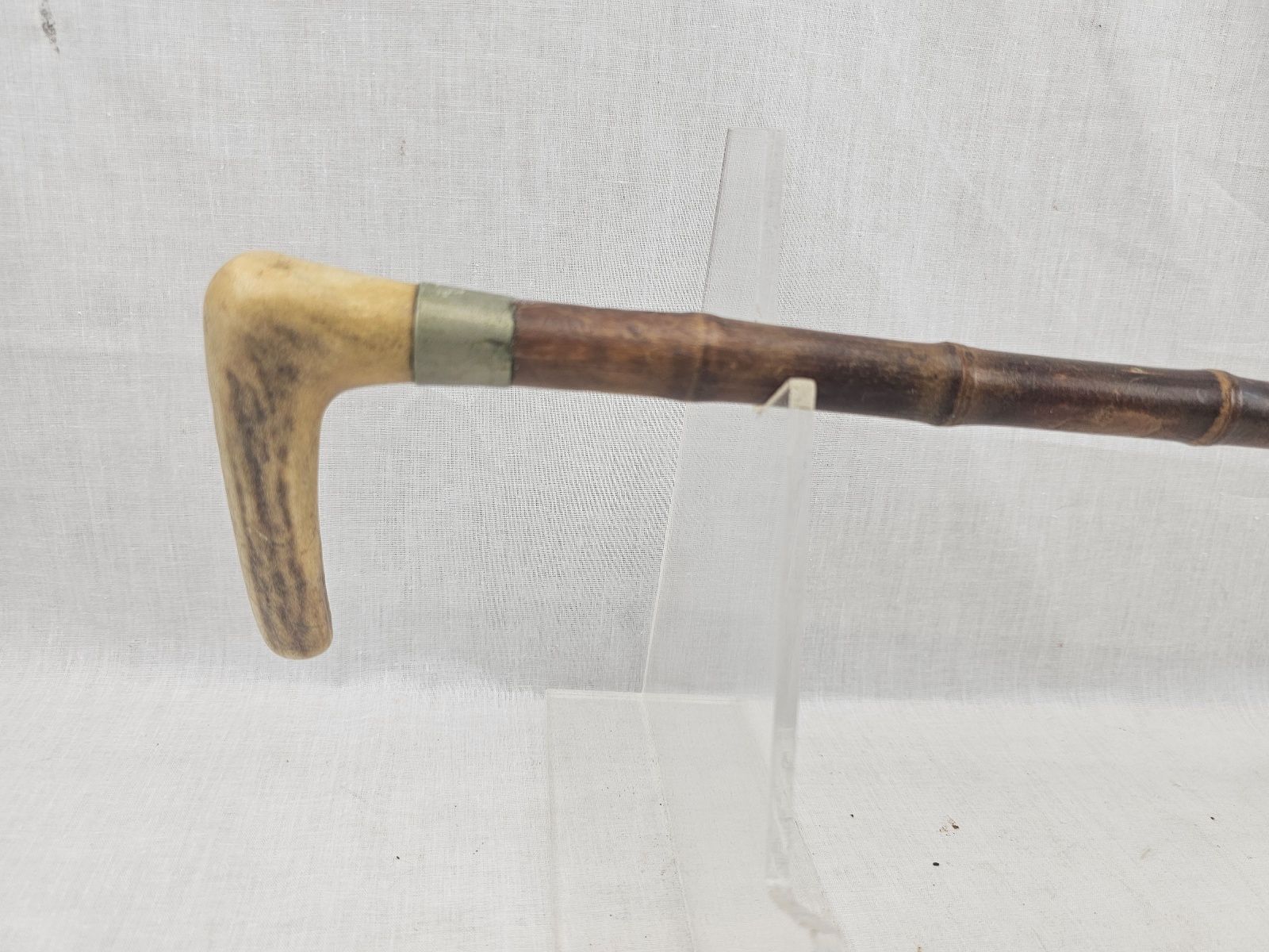 Wooden Walking Cane with Bone Grip - Image 2