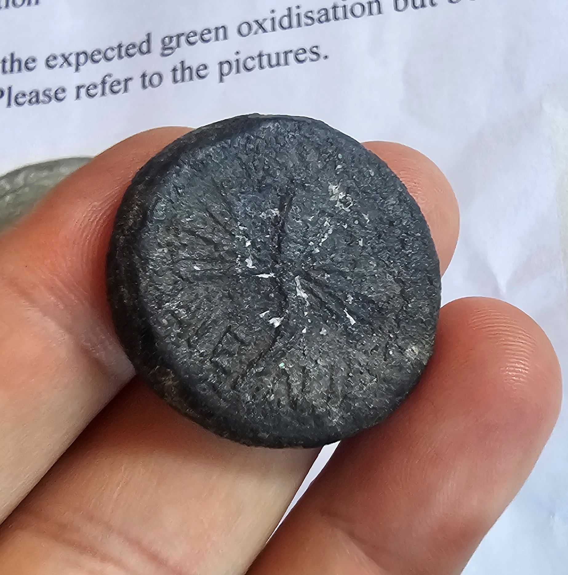 3rd-2nd Century Roman Republic Iberic Peninsula Rare Variant of 'AS Coin from Valencia #5 - Image 4