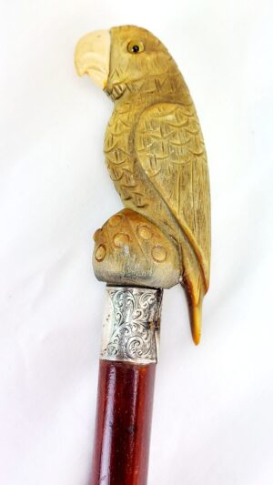 British, 1883, Walking Stick with Parrot Handle, Hallmarked Silver Collar