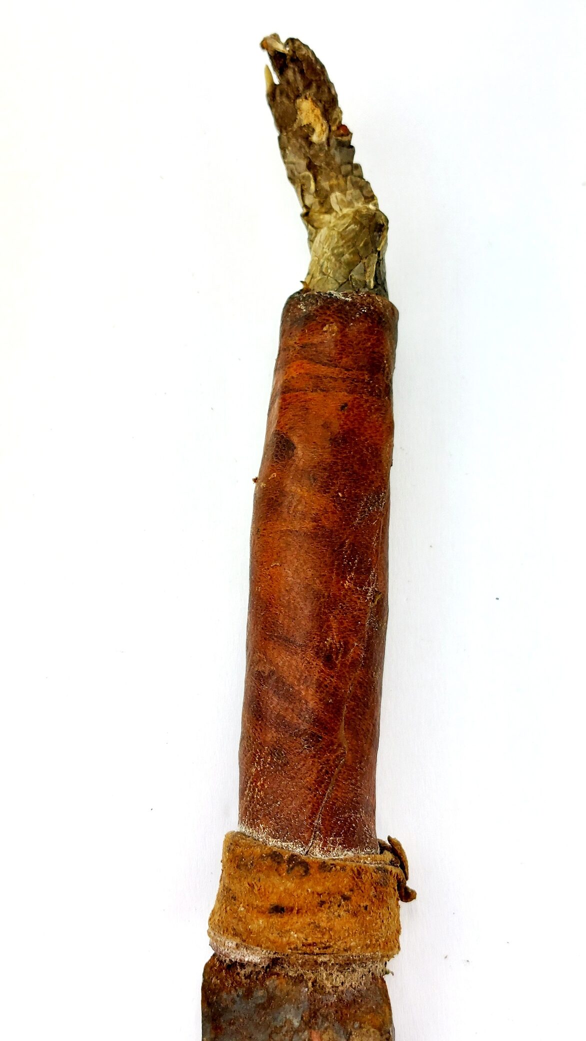 West African Tribal Dagger with Crocodile-Skin Grip and Cowrie-Decorated Sheath - Image 15