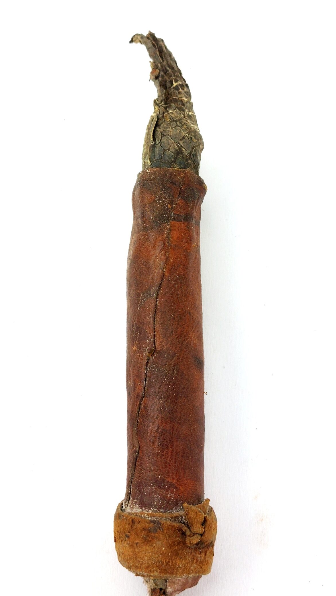 West African Tribal Dagger with Crocodile-Skin Grip and Cowrie-Decorated Sheath - Image 16