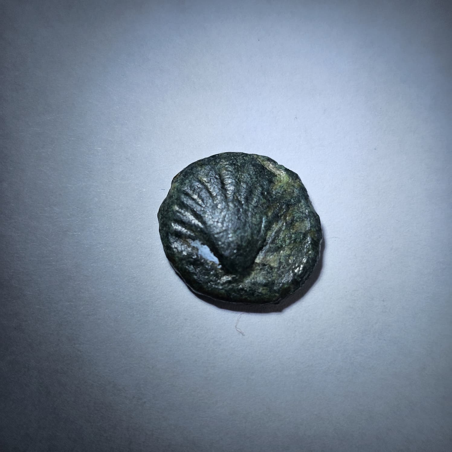 Circa 2nd Century BC Spanish Arse Coin, Valencia Region - Image 2