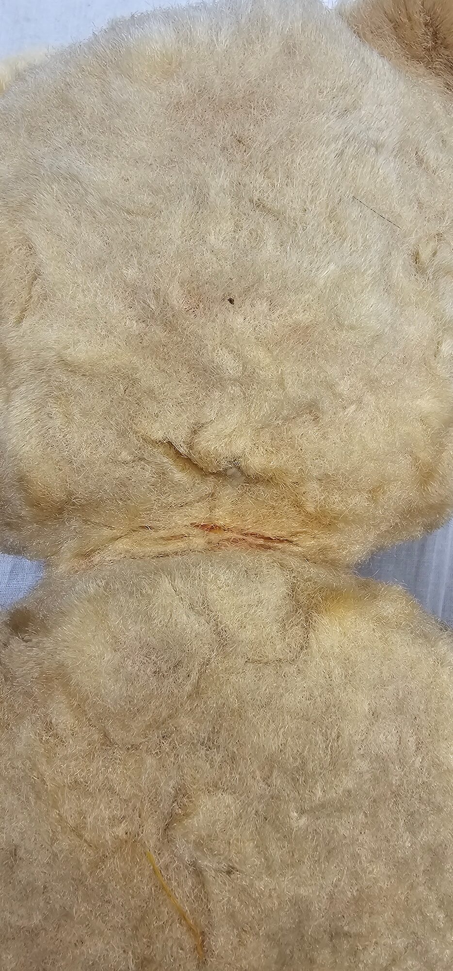 1940s Teddy Bear With Glass Eyes - Image 5