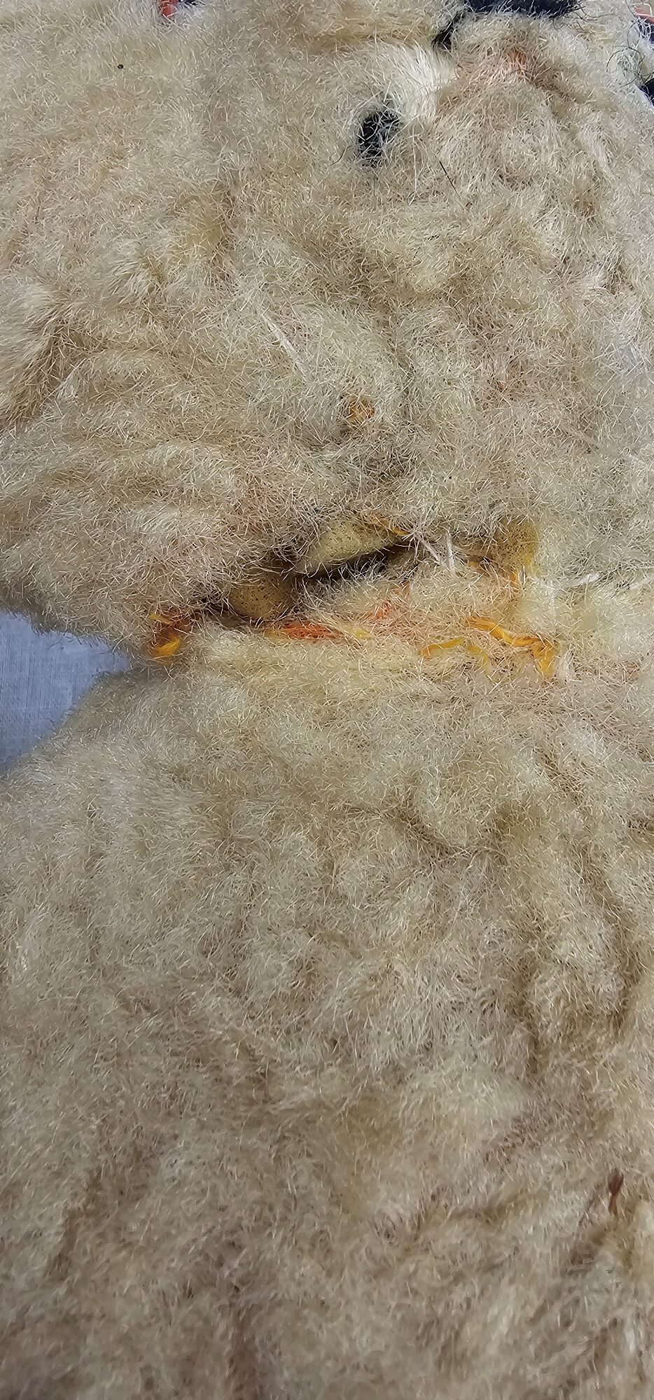 1940s Teddy Bear With Glass Eyes - Image 3