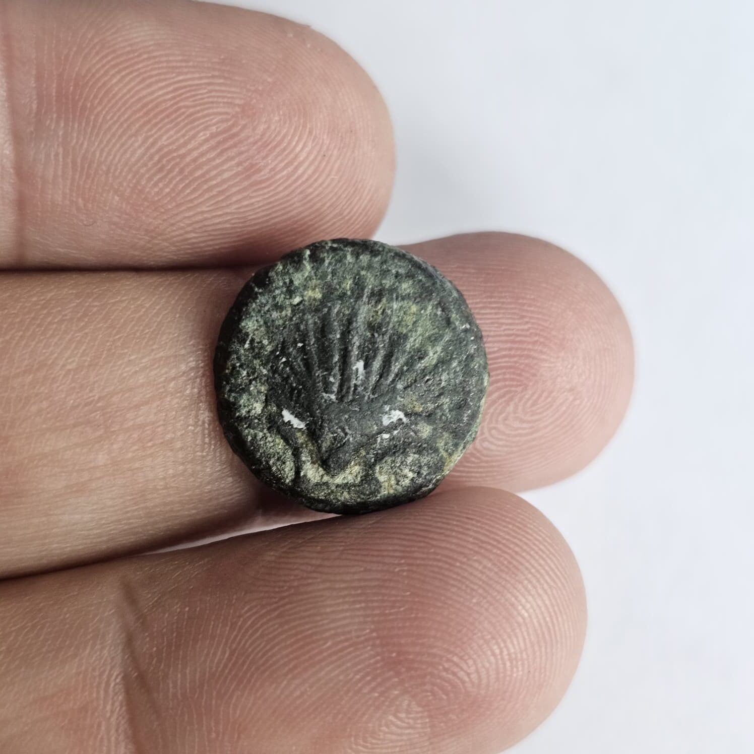 Circa 2nd Century BC Spanish Arse Coin #3 - Image 2