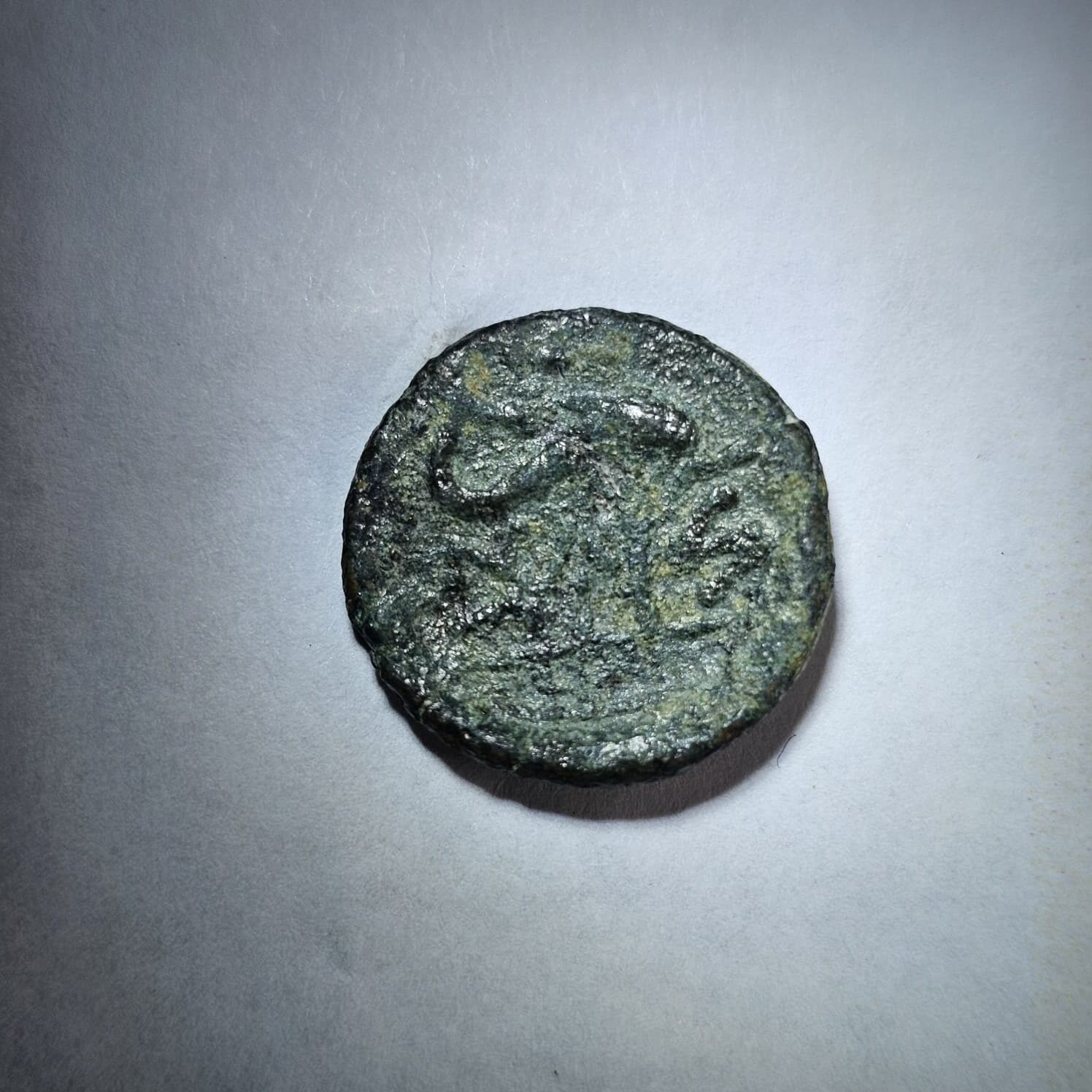 Circa 2nd Century BC Spanish Arse Coin #3 - Image 4