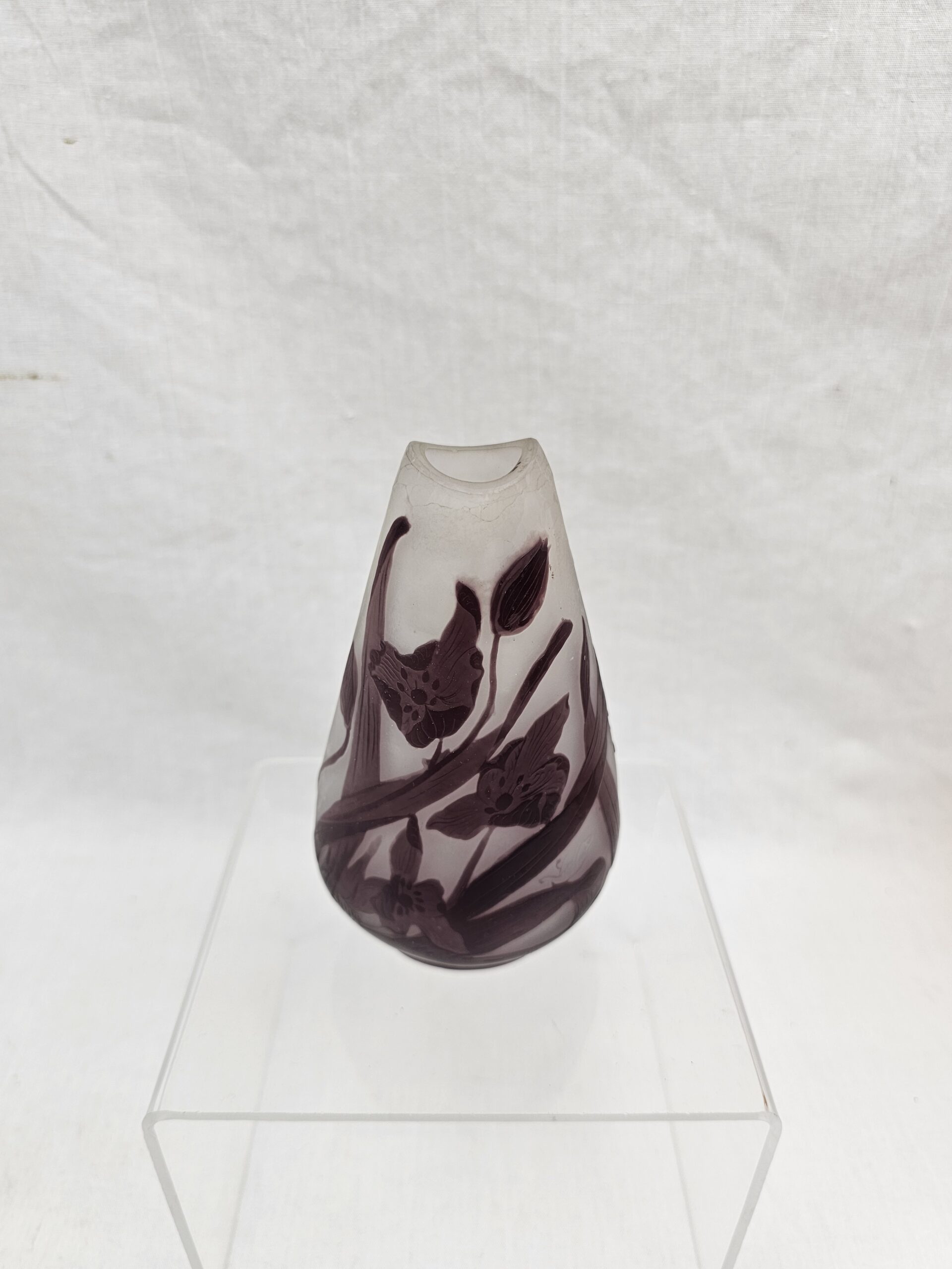 Emile Gallé Cameo Glass Vase of Ovoid Form, Decorated with Wild Flowers