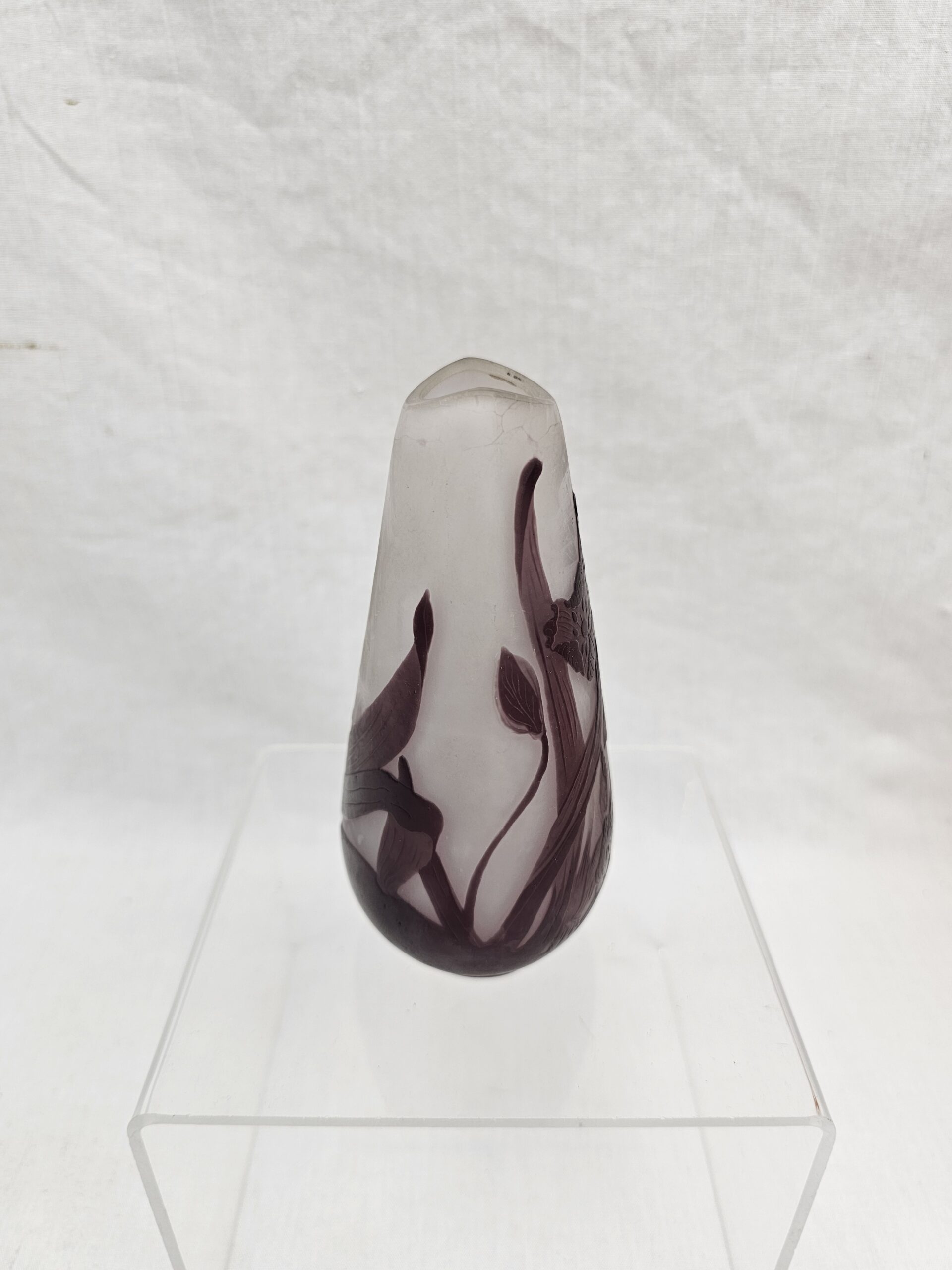 Emile Gallé Cameo Glass Vase of Ovoid Form, Decorated with Wild Flowers - Image 2
