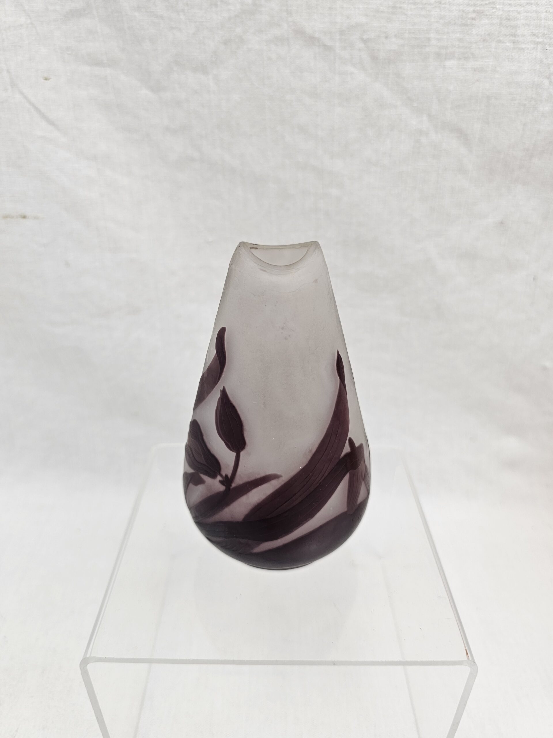 Emile Gallé Cameo Glass Vase of Ovoid Form, Decorated with Wild Flowers - Image 3