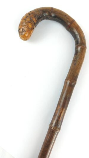 Late Victorian, Bamboo Antique Crook-Handled Walking Cane with Root-Ball “Snake Head” Handle