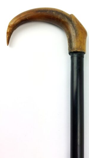 British, Late 19th–Early 20th Century, Horn Crook-Handled Walking Stick