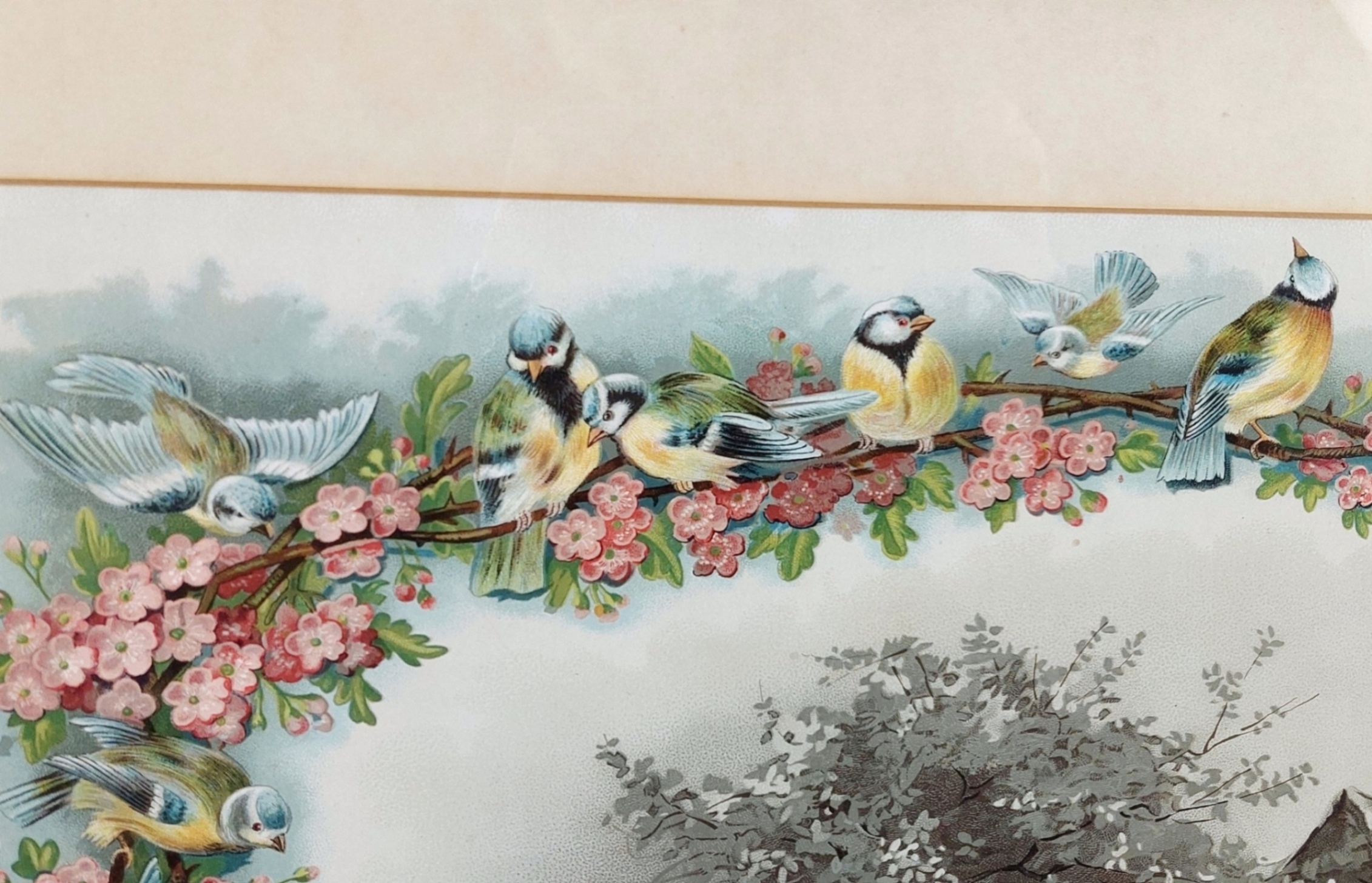 Framed Victorian Chromolithograph Titled Tug Of War - Image 5