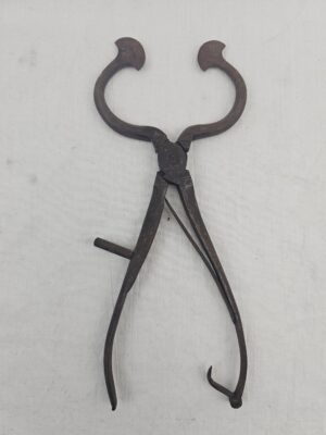 Georgian Circa 1820 Steel Sugar Nips #2